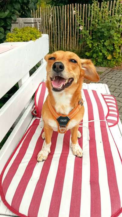 Doppelgänger gesucht !-Beitrag-Bild