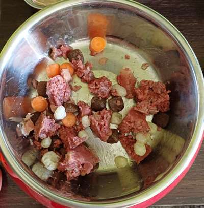 Zeigt her Eure Futternäpfe-Beitrag-Bild