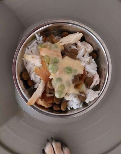 Zeigt her Eure Futternäpfe-Beitrag-Bild