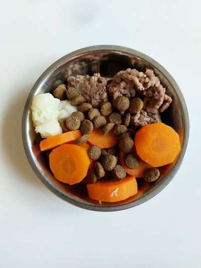 Zeigt her Eure Futternäpfe-Beitrag-Bild