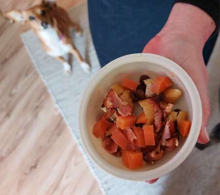 Zeigt her Eure Futternäpfe-Beitrag-Bild