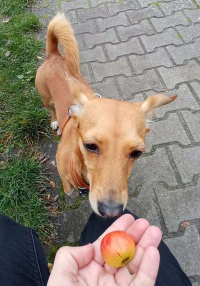 Zeigt her Eure Futternäpfe-Beitrag-Bild