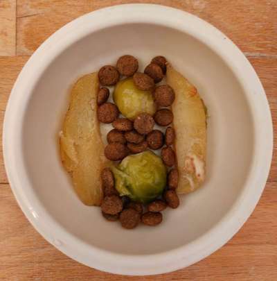 Zeigt her Eure Futternäpfe-Beitrag-Bild