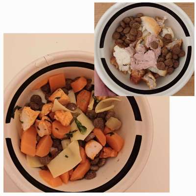 Zeigt her Eure Futternäpfe-Beitrag-Bild