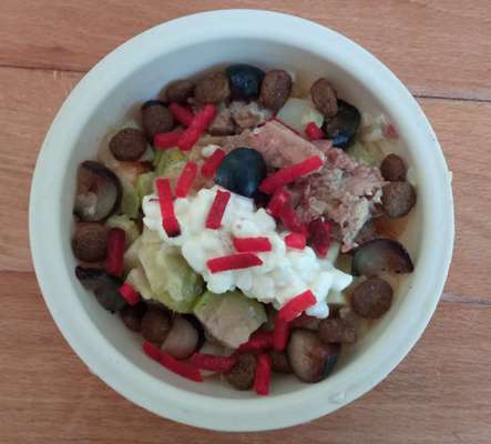 Zeigt her Eure Futternäpfe-Beitrag-Bild