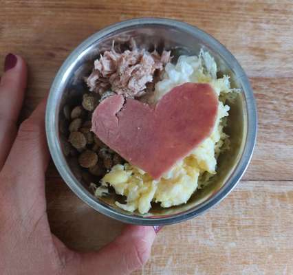 Zeigt her Eure Futternäpfe-Beitrag-Bild