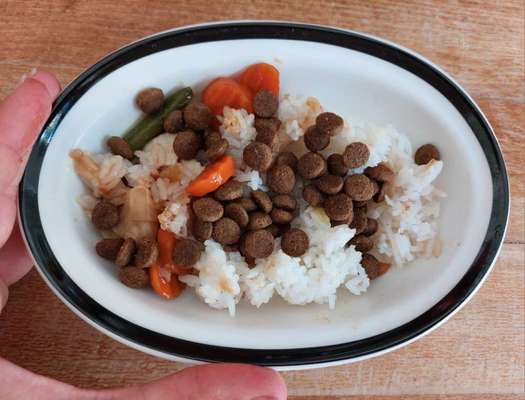 Zeigt her Eure Futternäpfe-Beitrag-Bild