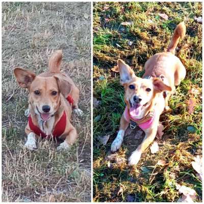 28. Handy-Fotochallenge - Damals und heute-Beitrag-Bild