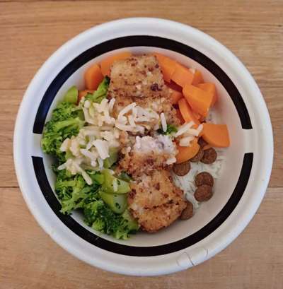 Zeigt her Eure Futternäpfe-Beitrag-Bild