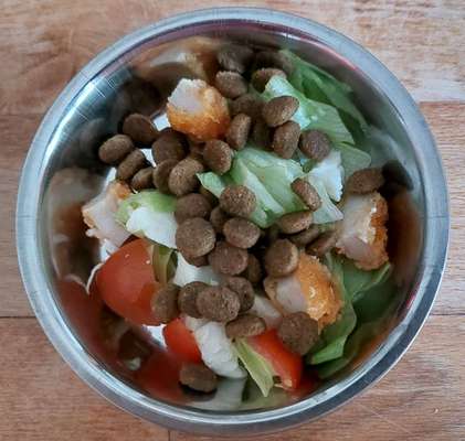 Zeigt her Eure Futternäpfe-Beitrag-Bild