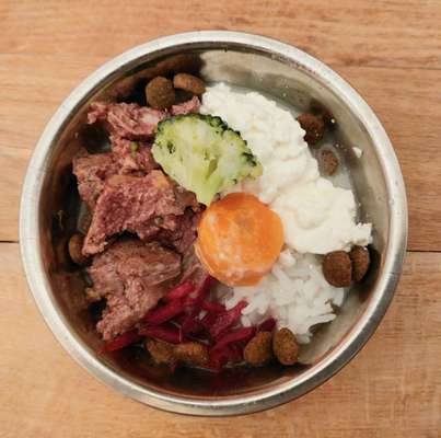 Zeigt her Eure Futternäpfe-Beitrag-Bild