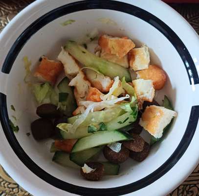 Zeigt her Eure Futternäpfe-Beitrag-Bild