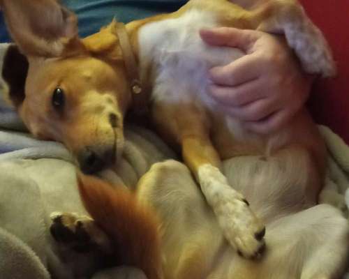 Die unbequemsten und lustigsten Schlafpositionen-Beitrag-Bild