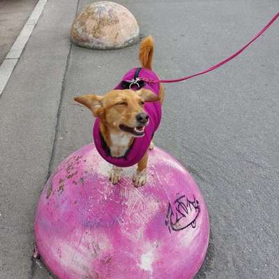 30. Farben Challenge - Pink-Beitrag-Bild