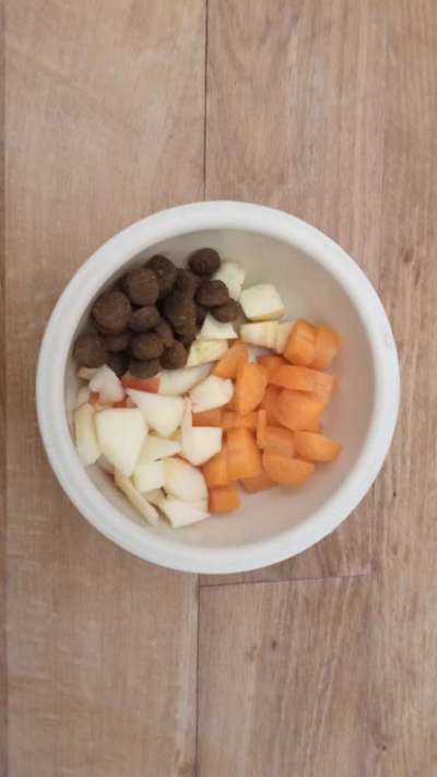 Zeigt her Eure Futternäpfe-Beitrag-Bild