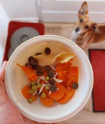 Zeigt her Eure Futternäpfe-Beitrag-Bild