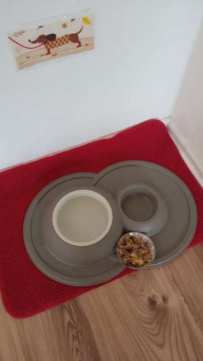 Zeigt her Eure Futternäpfe-Beitrag-Bild