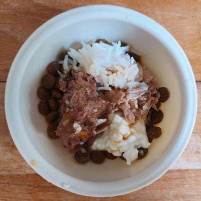 Zeigt her Eure Futternäpfe-Beitrag-Bild