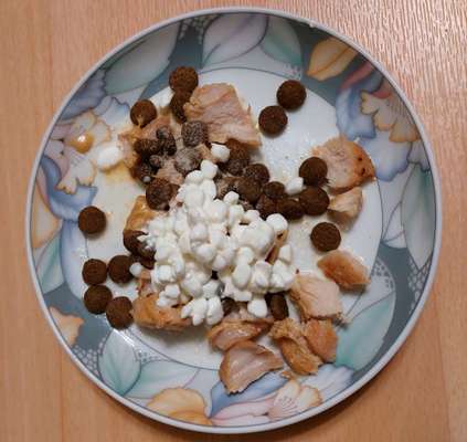 Zeigt her Eure Futternäpfe-Beitrag-Bild