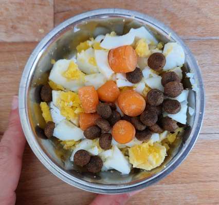 Zeigt her Eure Futternäpfe-Beitrag-Bild