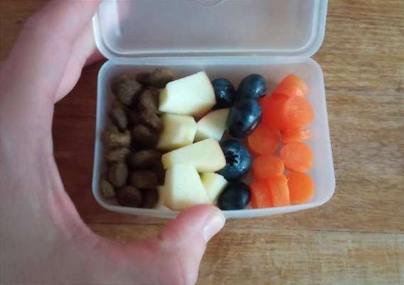 Zeigt her Eure Futternäpfe-Beitrag-Bild