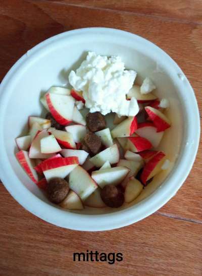 Zeigt her Eure Futternäpfe-Beitrag-Bild