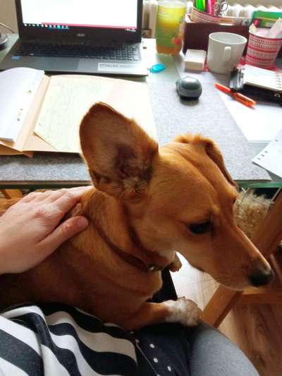 Zeigt her...-Beitrag-Bild