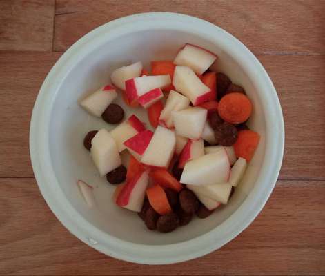 Zeigt her Eure Futternäpfe-Beitrag-Bild