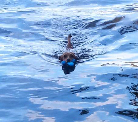 35. Handy Foto Challenge - Das nasse Element-Beitrag-Bild