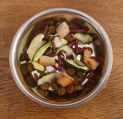 Zeigt her Eure Futternäpfe-Beitrag-Bild