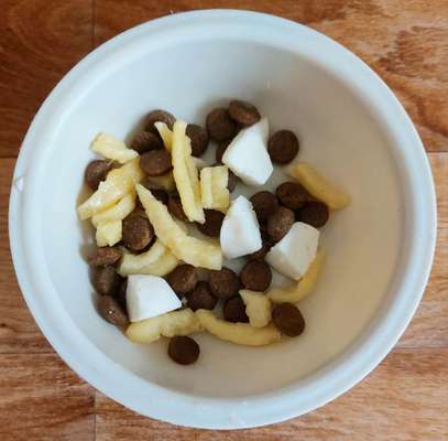 Zeigt her Eure Futternäpfe-Beitrag-Bild