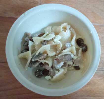 Zeigt her Eure Futternäpfe-Beitrag-Bild