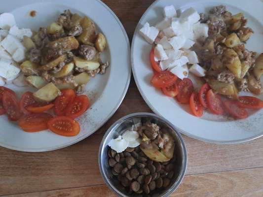 Zeigt her Eure Futternäpfe-Beitrag-Bild