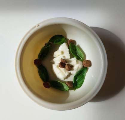 Zeigt her Eure Futternäpfe-Beitrag-Bild