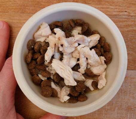 Zeigt her Eure Futternäpfe-Beitrag-Bild