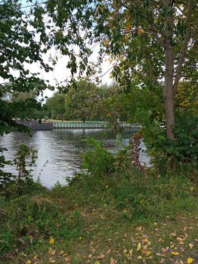 Die wunderschöne Welt mit Hund.-Beitrag-Bild