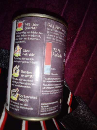 Nassfutter im Vergleich-Beitrag-Bild