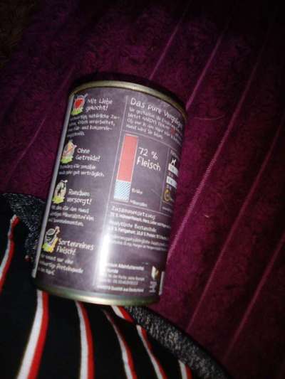 Nassfutter im Vergleich-Beitrag-Bild