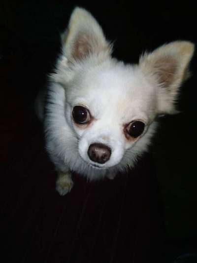 Fotochallange Nr. 57     PORTRÄT.   Beendet!!!!!!!!-Beitrag-Bild