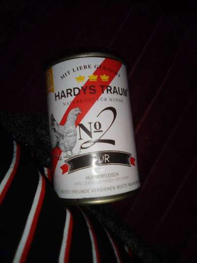 Nassfutter im Vergleich-Beitrag-Bild