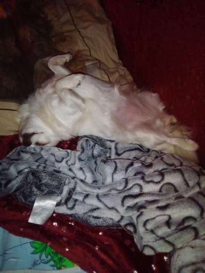 Fotochallenge Nr.65-Beitrag-Bild