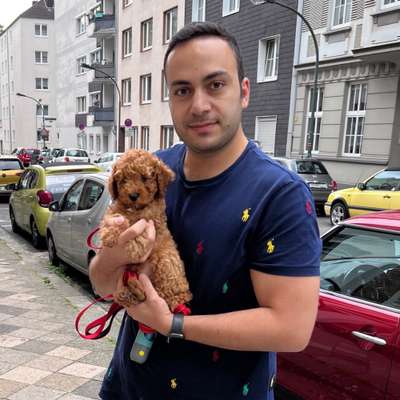 Milad's Profilbild