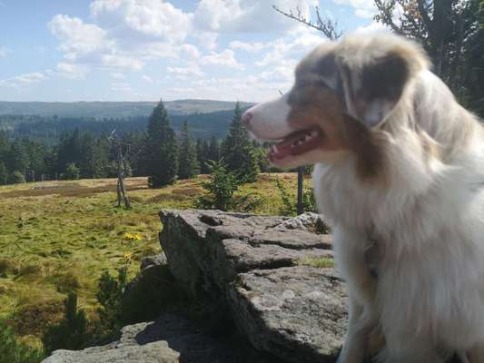 Fotochallange Nr. 46

Schattenspiele BEENDET!!!!!-Beitrag-Bild