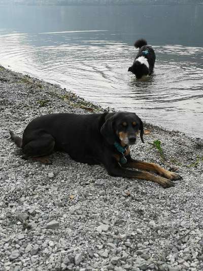 Fotochallenge Nr. 56 - geliebte Senioren-Beitrag-Bild