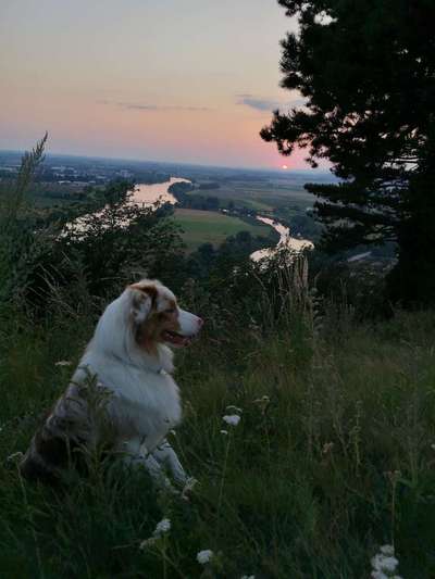 42.Fotochallenge - Eure schönen Momente beim Spaziergang-Beitrag-Bild