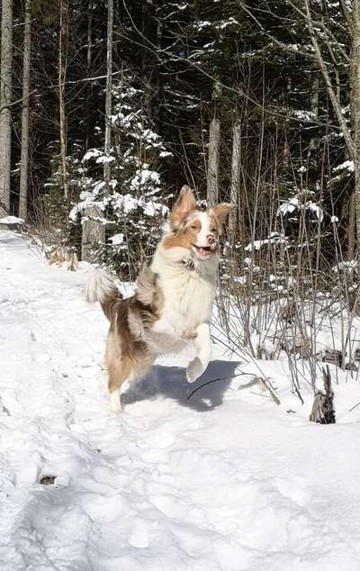 Fotochallenge Nr. 52 „Spring!“-Beitrag-Bild