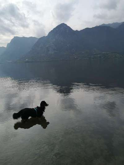 Fotochallange Nr. 46

Schattenspiele BEENDET!!!!!-Beitrag-Bild