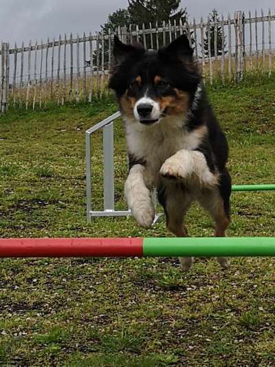 Fotochallenge Nr. 52 „Spring!“-Beitrag-Bild