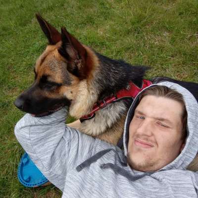 Hundetreffen-Spielstunden-Profilbild