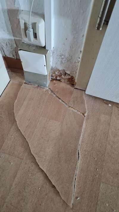 11 monate junghund bringt mich zum verzweifeln-Beitrag-Bild